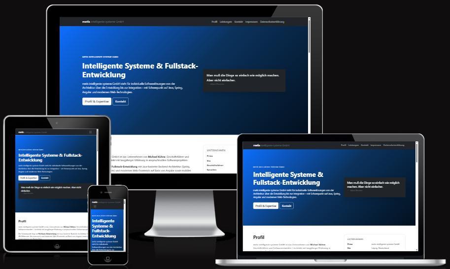 metis intelligente systeme GmbH